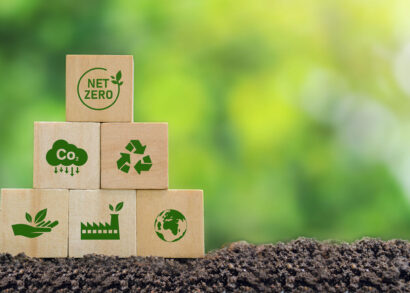 How to embed sustainability into M&E decision-making