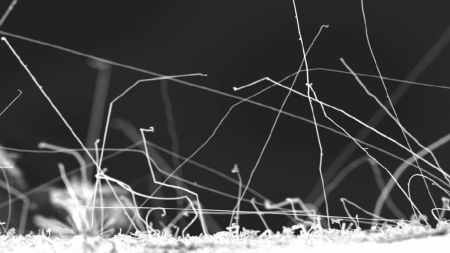 What are zinc whiskers and how do they affect your choice of fixings?