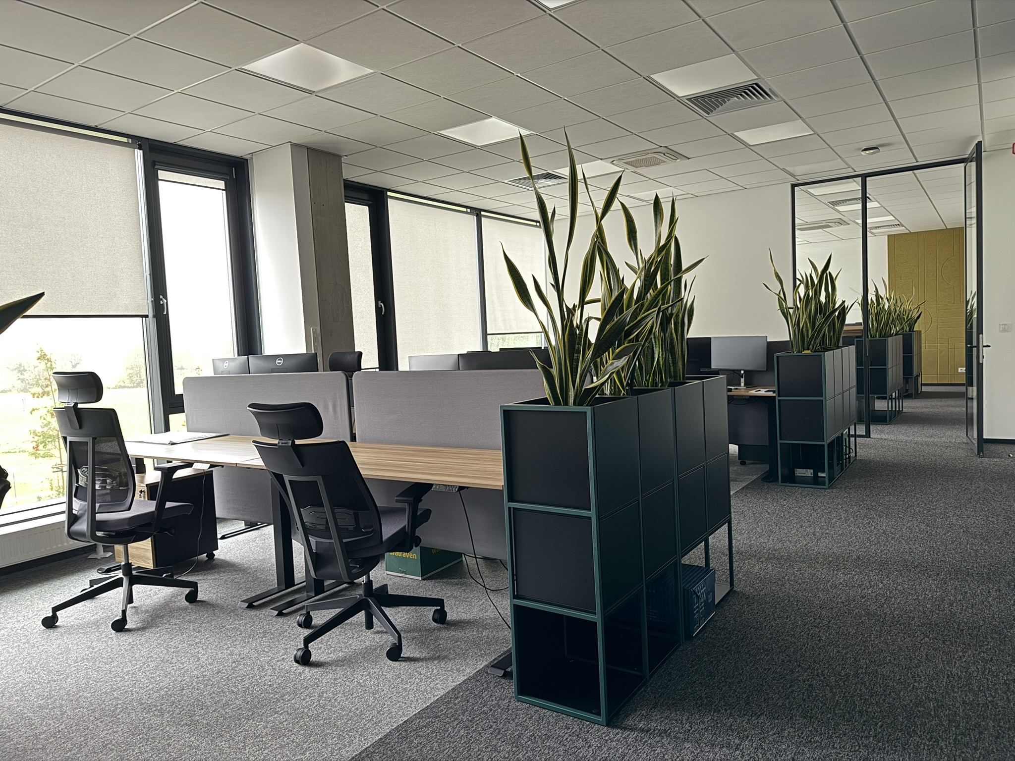 Funkcjonowanie firmy w dniach 10-11.11