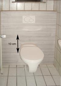 Hauseigentümer denkt bei Einbau eines BIS Vario® WCs schon weiter