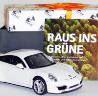 Raus ins Grüne mit einem Porsche